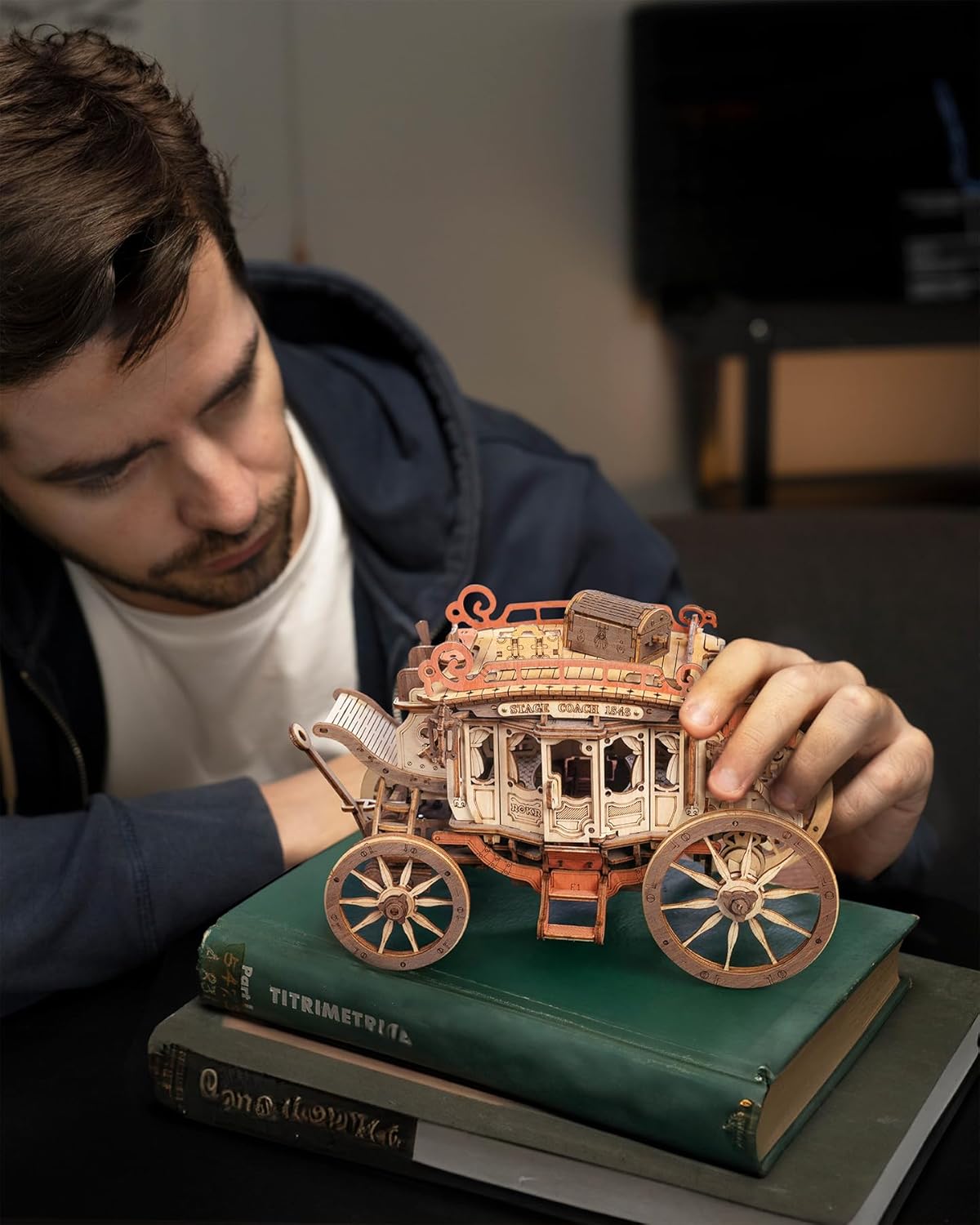 3D Wooden Puzzles