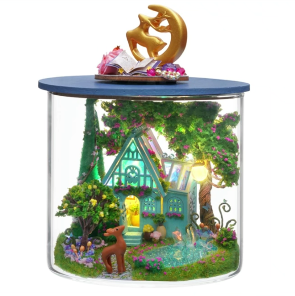 Dream Bottle Series